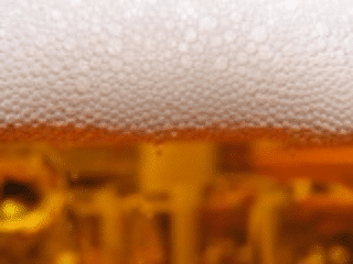 Science of Beer