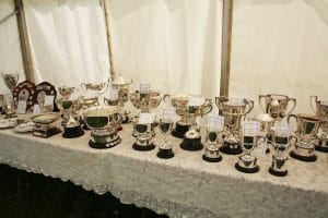 Trophies