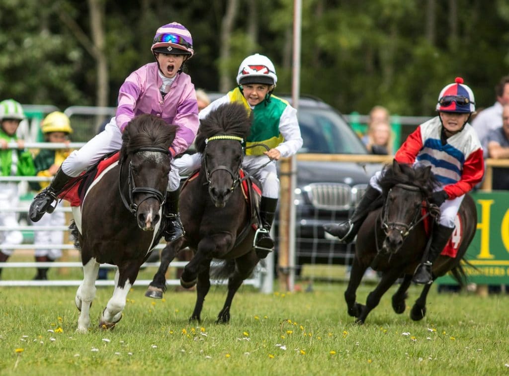 Shetland Pony Derby