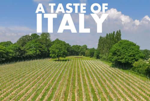 A taste of Italy in the vineyard