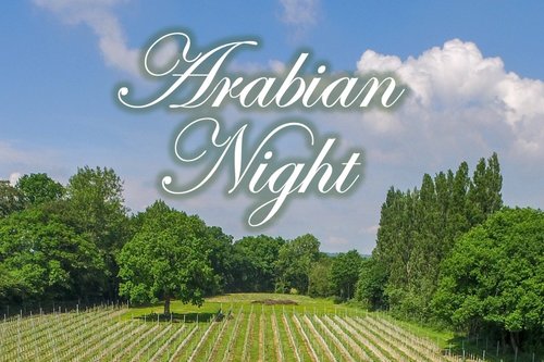 Pop up dining experience at Hidden Spring Vineyard