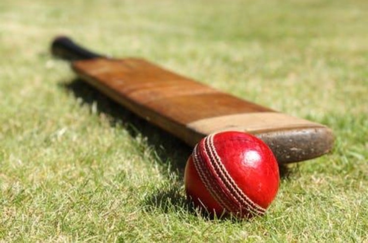 Herstmonceux Cricket Club - World Cup Festival Day