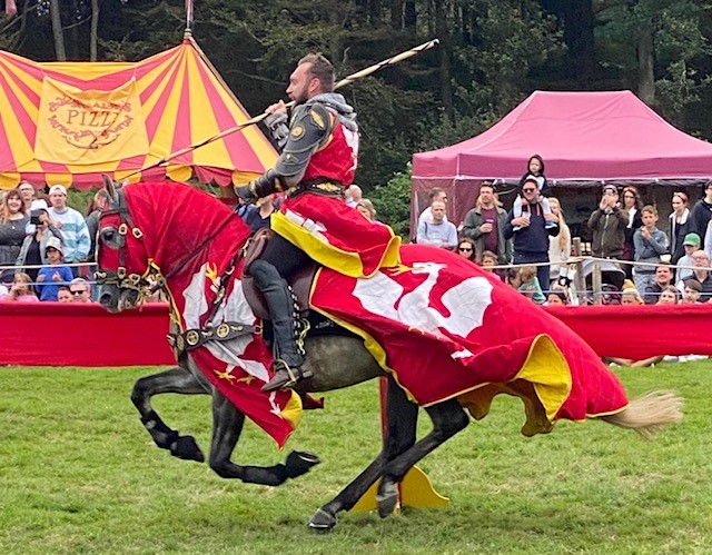 A man on a horse jousting