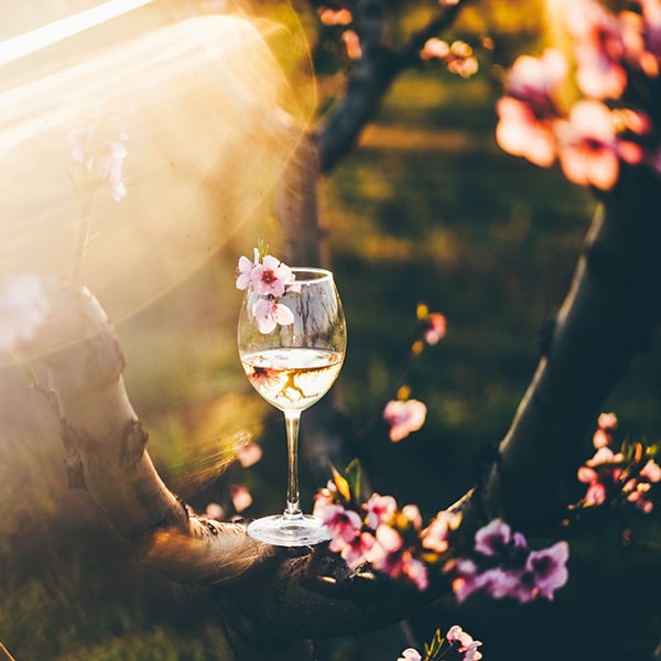 Cuculo's Big Easter Tasting Sunday 24 March