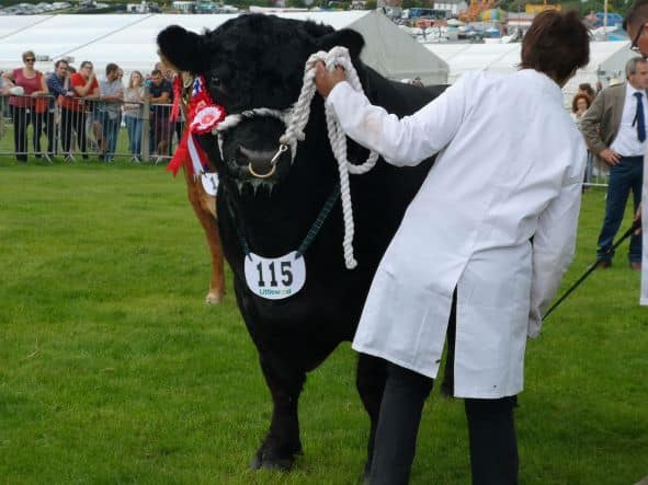 Heathfield Agricultural Show - Saturday 25 May