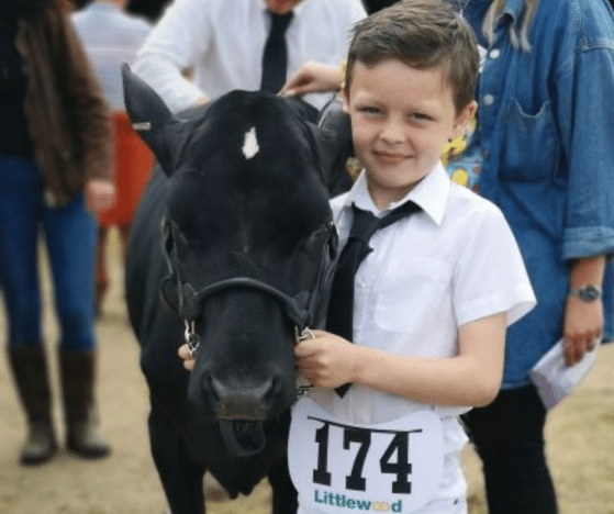 young boy holding the halter of a small black calf