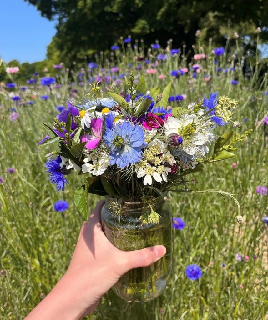 Beauitiful wild flowers in a jar hand held